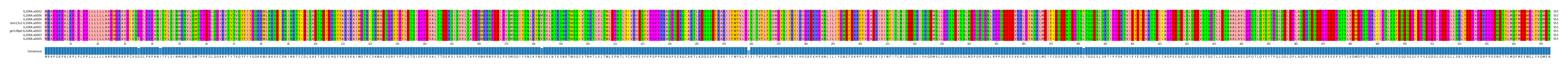 Multiple Alignments (by translate haplotype similarity)