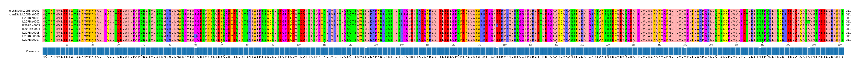 Multiple Alignments (by translate haplotype frequency)