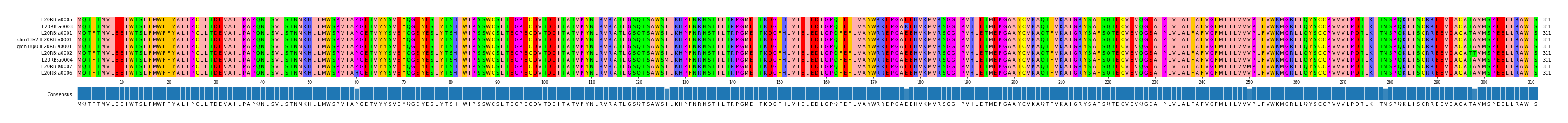 Multiple Alignments (by translate haplotype similarity)