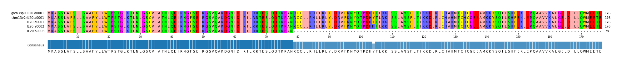 Multiple Alignments (by translate haplotype frequency)