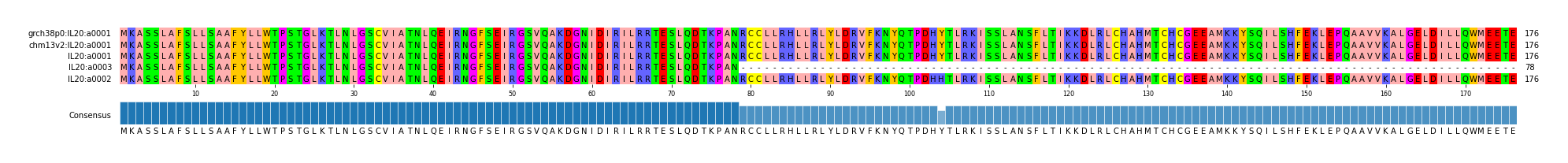 Multiple Alignments (by translate haplotype similarity)