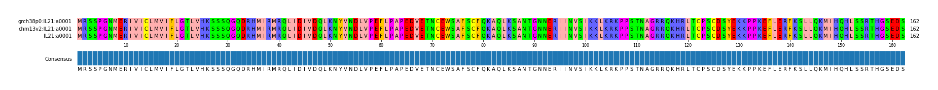 Multiple Alignments (by translate haplotype similarity)