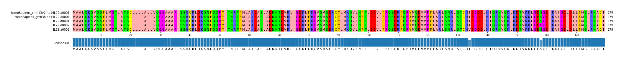 Multiple Alignments (by translate haplotype frequency)