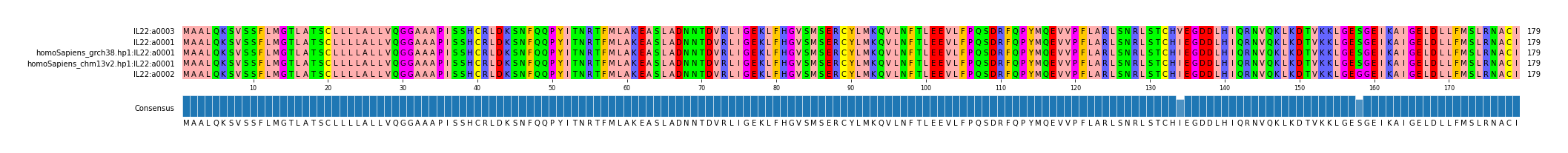 Multiple Alignments (by translate haplotype similarity)