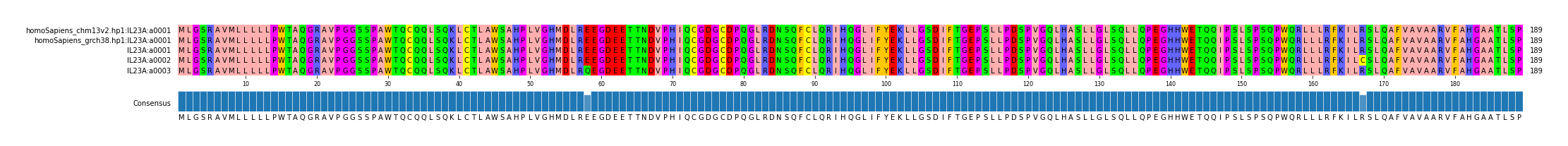 Multiple Alignments (by translate haplotype frequency)