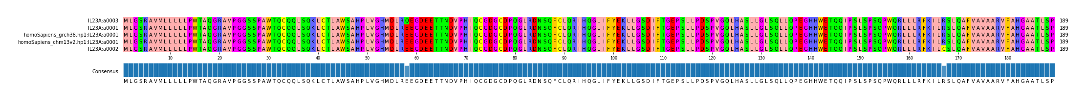 Multiple Alignments (by translate haplotype similarity)