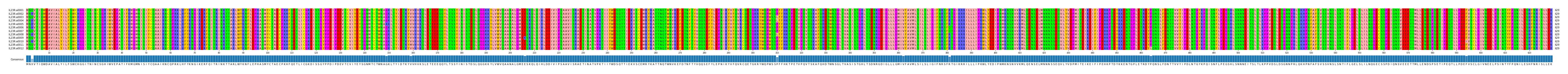 Multiple Alignments (by translate haplotype frequency)