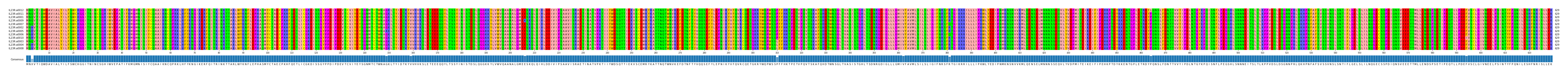 Multiple Alignments (by translate haplotype similarity)