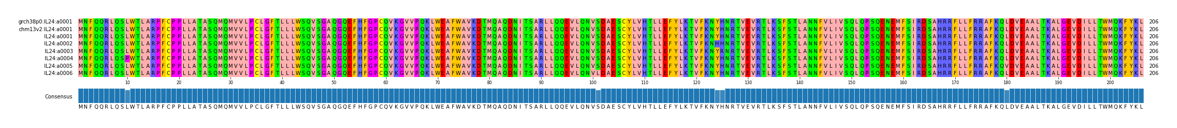 Multiple Alignments (by translate haplotype frequency)