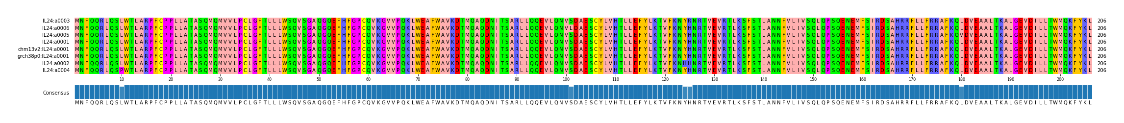 Multiple Alignments (by translate haplotype similarity)