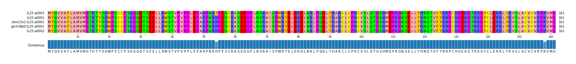 Multiple Alignments (by translate haplotype similarity)