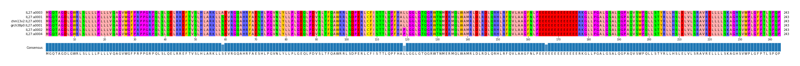 Multiple Alignments (by translate haplotype similarity)