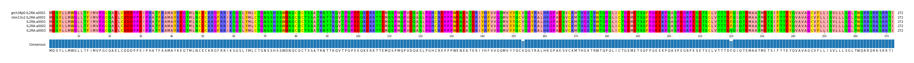 Multiple Alignments (by translate haplotype frequency)