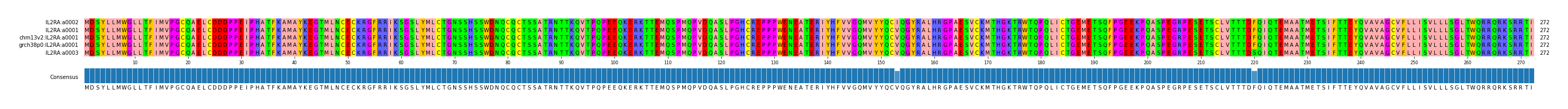 Multiple Alignments (by translate haplotype similarity)