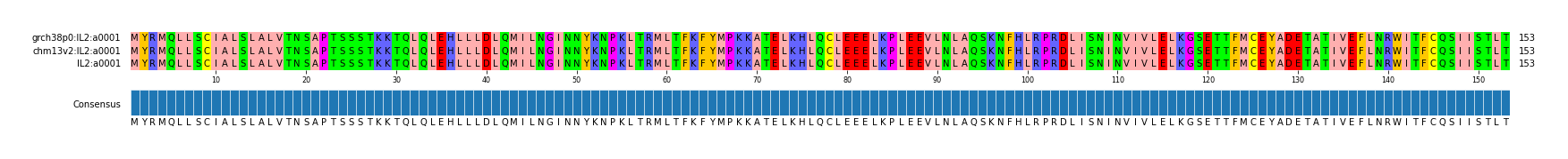 Multiple Alignments (by translate haplotype similarity)