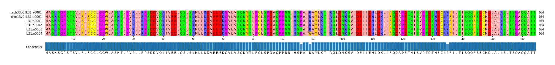 Multiple Alignments (by translate haplotype frequency)