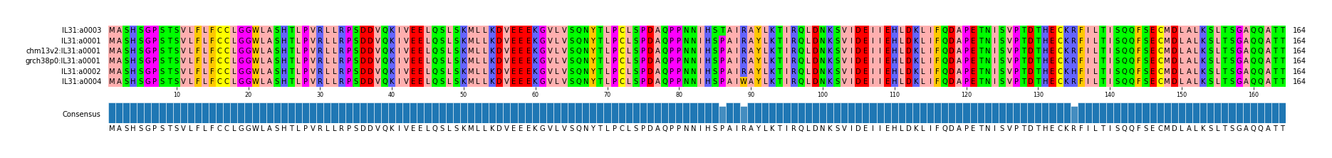 Multiple Alignments (by translate haplotype similarity)