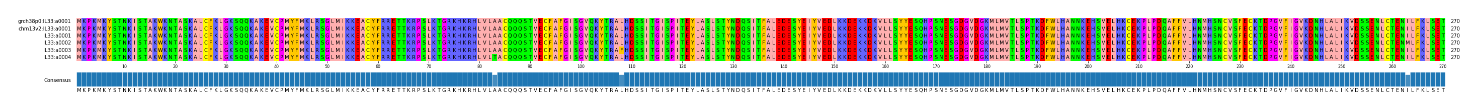 Multiple Alignments (by translate haplotype frequency)