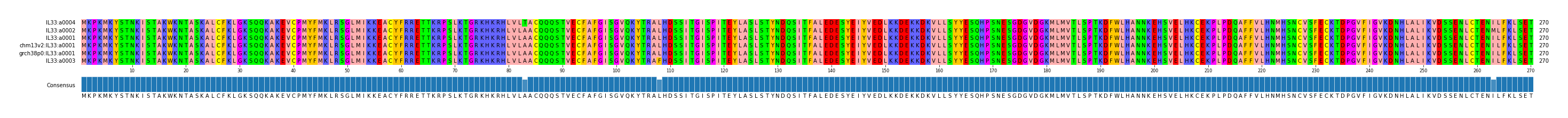 Multiple Alignments (by translate haplotype similarity)