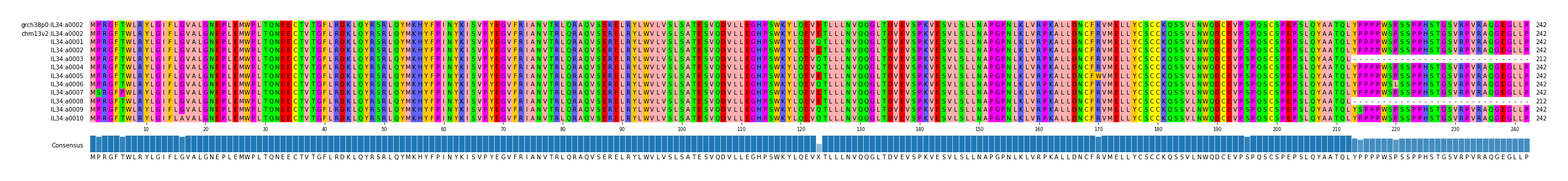 Multiple Alignments (by translate haplotype frequency)