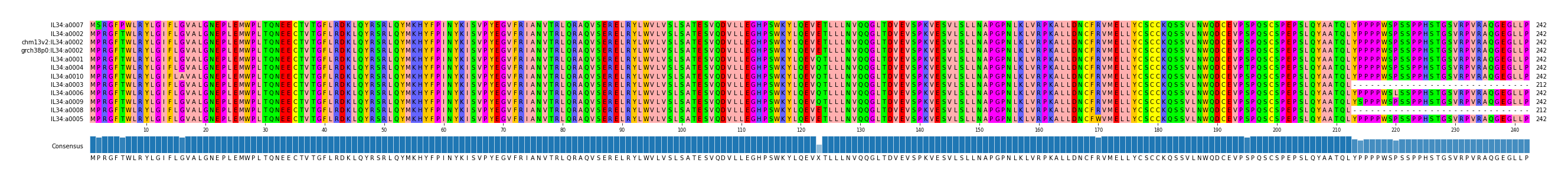 Multiple Alignments (by translate haplotype similarity)