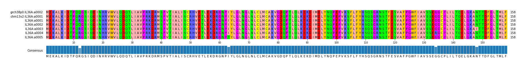 Multiple Alignments (by translate haplotype frequency)