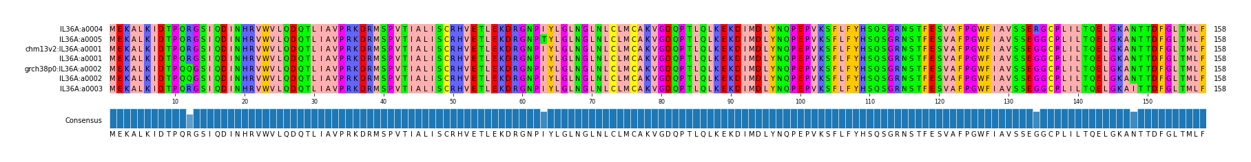 Multiple Alignments (by translate haplotype similarity)