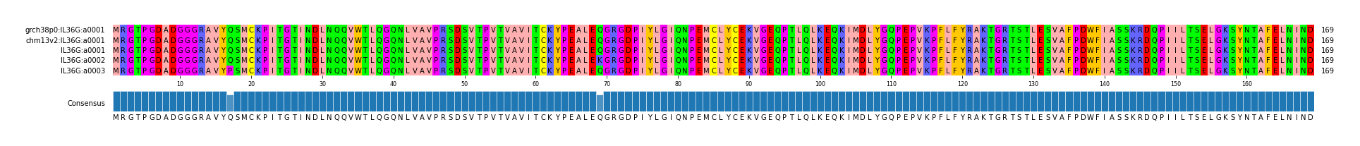 Multiple Alignments (by translate haplotype frequency)