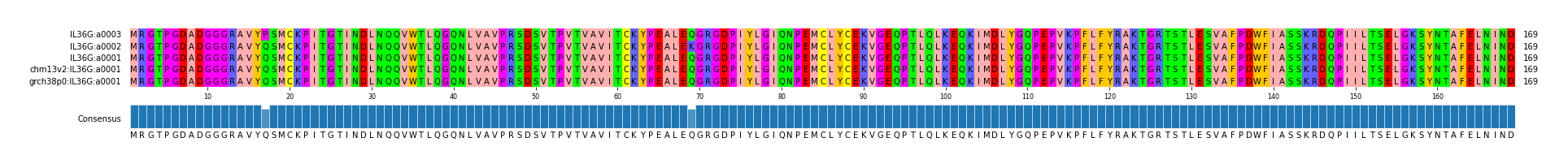 Multiple Alignments (by translate haplotype similarity)