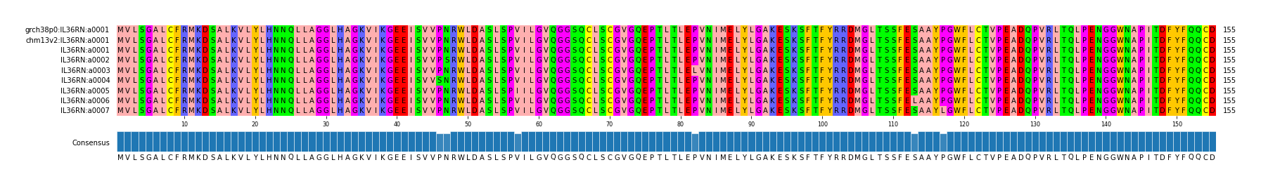 Multiple Alignments (by translate haplotype frequency)