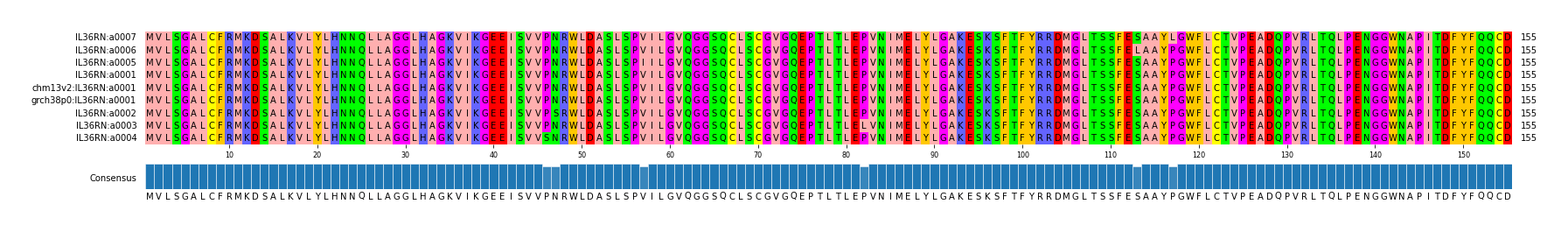 Multiple Alignments (by translate haplotype similarity)