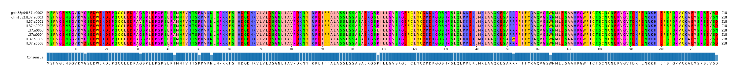 Multiple Alignments (by translate haplotype frequency)