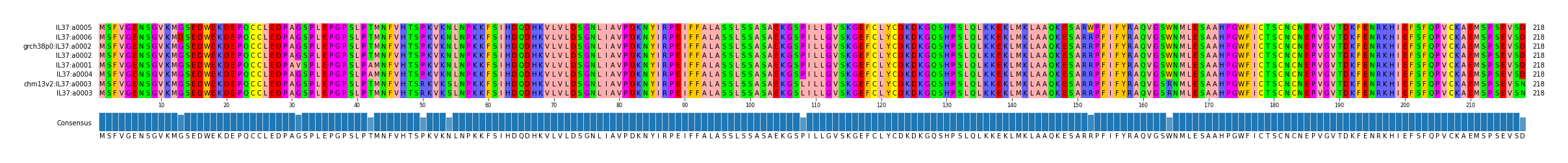 Multiple Alignments (by translate haplotype similarity)
