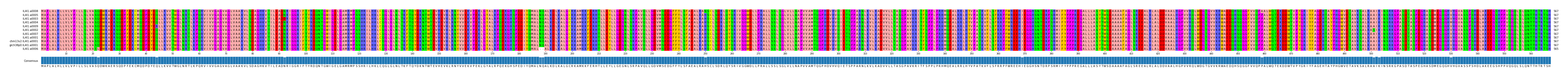 Multiple Alignments (by translate haplotype similarity)