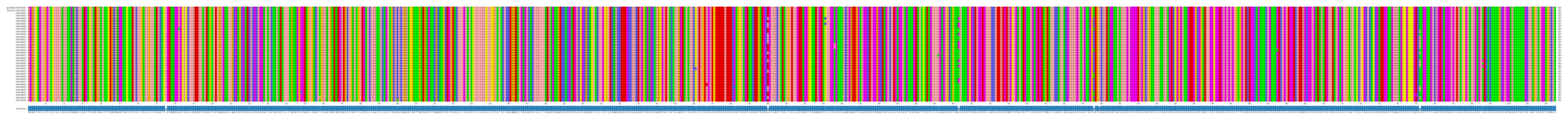 Multiple Alignments (by translate haplotype frequency)