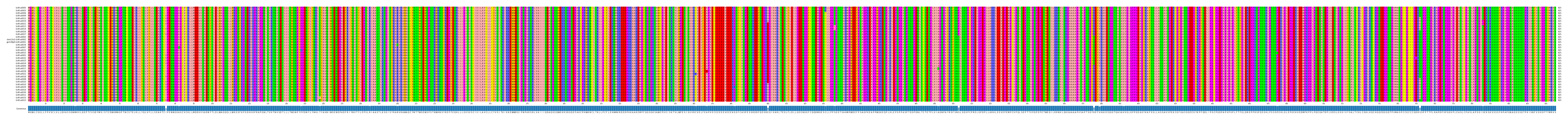 Multiple Alignments (by translate haplotype similarity)