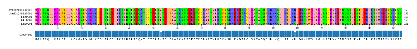 Multiple Alignments (by translate haplotype frequency)