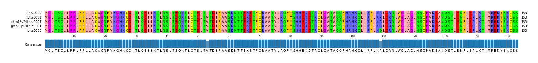 Multiple Alignments (by translate haplotype similarity)