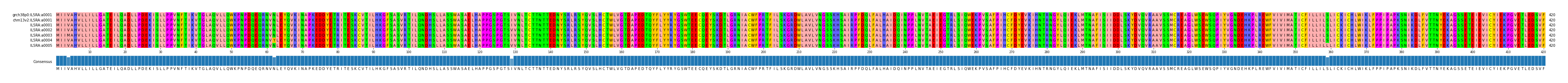 Multiple Alignments (by translate haplotype frequency)