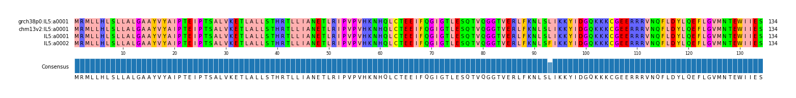 Multiple Alignments (by translate haplotype similarity)