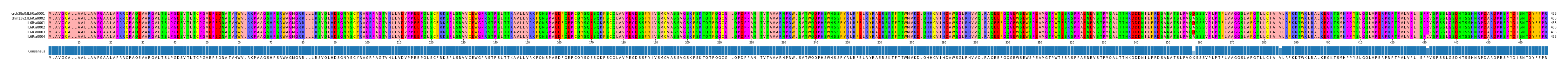 Multiple Alignments (by translate haplotype frequency)
