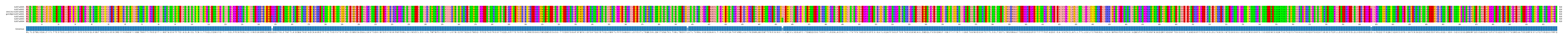 Multiple Alignments (by translate haplotype similarity)