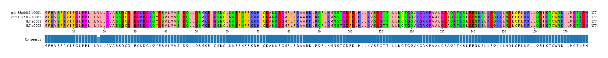 Multiple Alignments (by translate haplotype similarity)