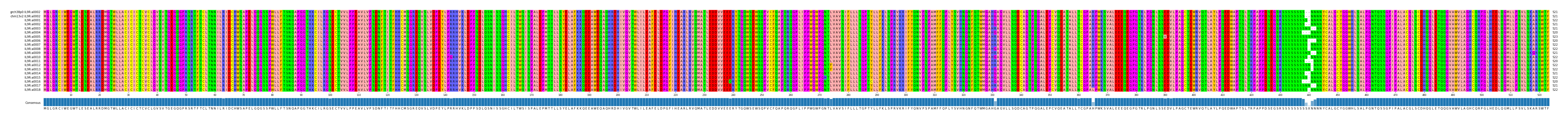 Multiple Alignments (by translate haplotype frequency)