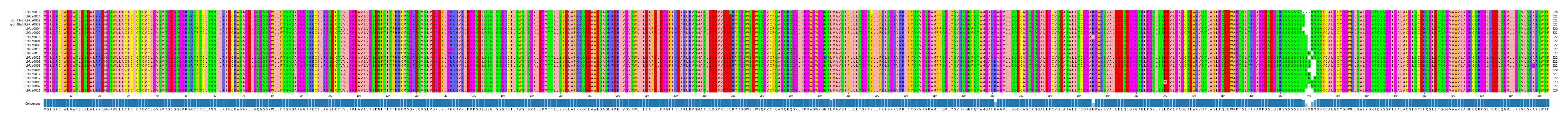 Multiple Alignments (by translate haplotype similarity)