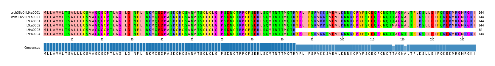 Multiple Alignments (by translate haplotype frequency)