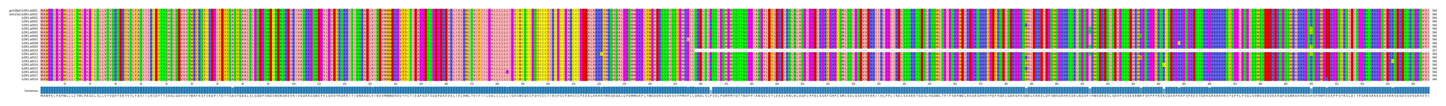 Multiple Alignments (by translate haplotype frequency)
