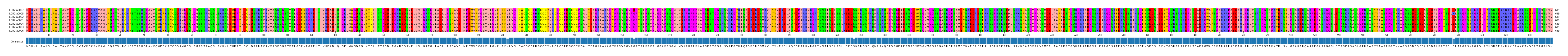 Multiple Alignments (by translate haplotype similarity)