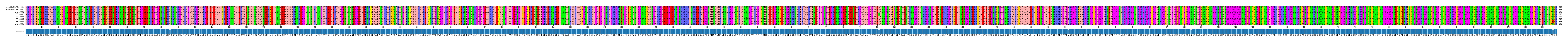 Multiple Alignments (by translate haplotype frequency)