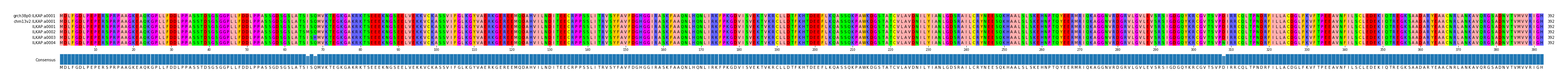 Multiple Alignments (by translate haplotype frequency)